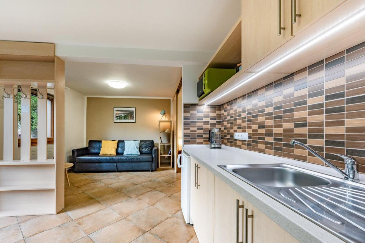 Apartment Vaclavov ジェチーン エクステリア 写真