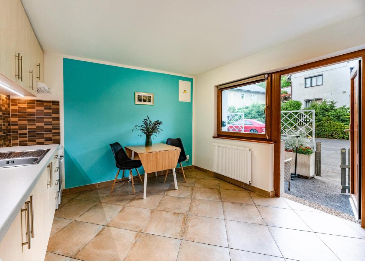 Apartment Vaclavov ジェチーン エクステリア 写真