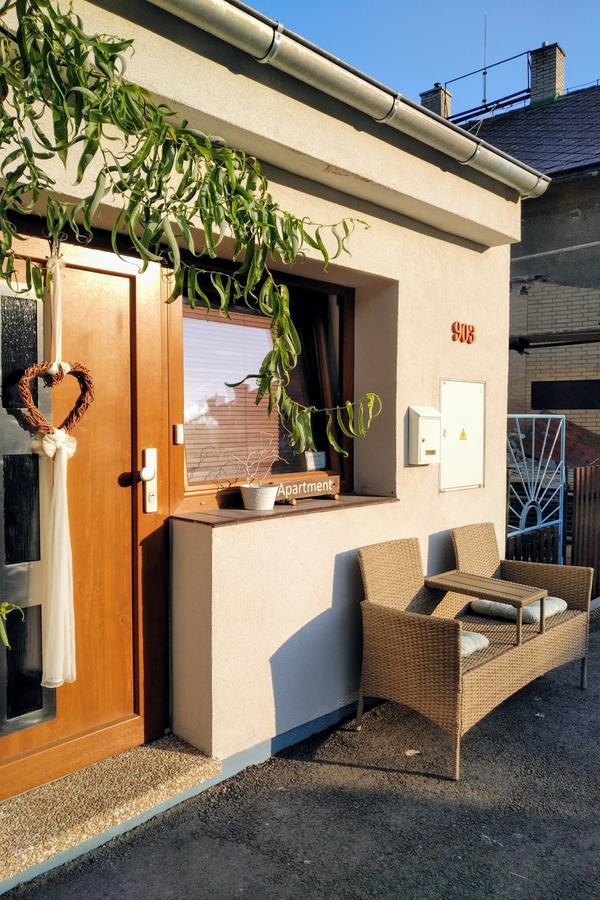 Apartment Vaclavov ジェチーン エクステリア 写真